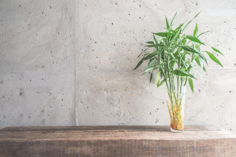 Vase plant decoration with empty room - vintage haze filter